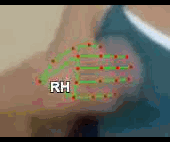 9df3c3b3a498.gif