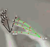 46033b1d352b.gif