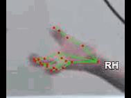 171b8b4f9417.gif