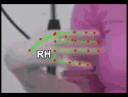 c5ba9fd87593.gif