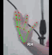 983a7e38cb9a.gif