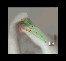 c5fc61c44533.gif