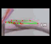 bcef67b36123.gif
