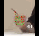 0c6bbd99699f.gif