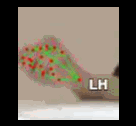 0fbf5a7bf38d.gif