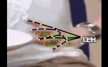 d194f3895430.gif
