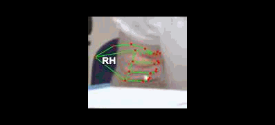 cf40f8dd5ba1.gif