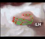 3e6ad5f4fbfb.gif