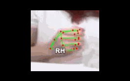 86e7a5800e08.gif