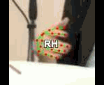 3711955fbf8f.gif