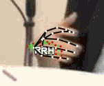 07a381decd0d.gif