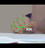 5e84202a03ab.gif