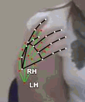 6720f58a3ffe.gif