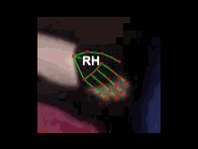 54fddd30efa7.gif