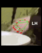 e3abd51241de.gif