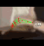 b805b0680b7b.gif