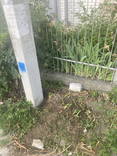IMG 0007.jpg