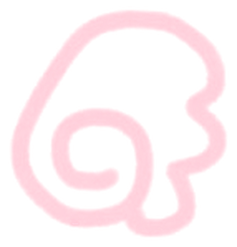 IMG 8795.png