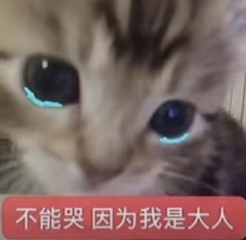 Screenshot.jpg