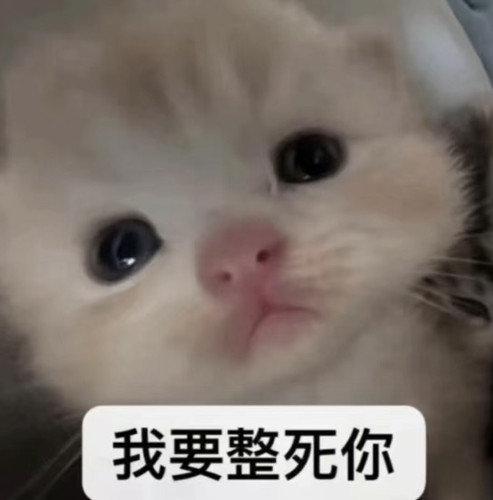 Screenshot.jpg