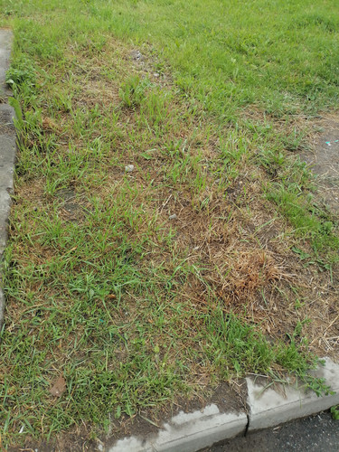IMG 20260626 113039 1.jpg