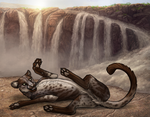 cheetah comm.png