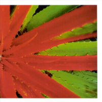 c415c5d93f6a.png