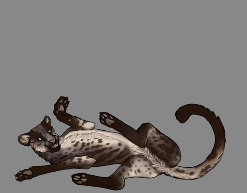 cheetah comm.png