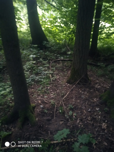 IMG 20260626 203135.jpg