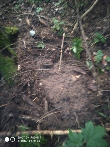 IMG 20260626 203137.jpg