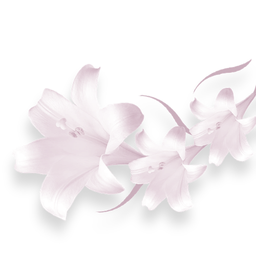 Image 1782479937575 297.png