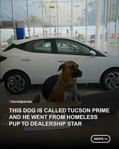 swipe to read.jpg