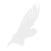 1782463738208.png
