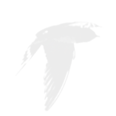 1782463507918.png
