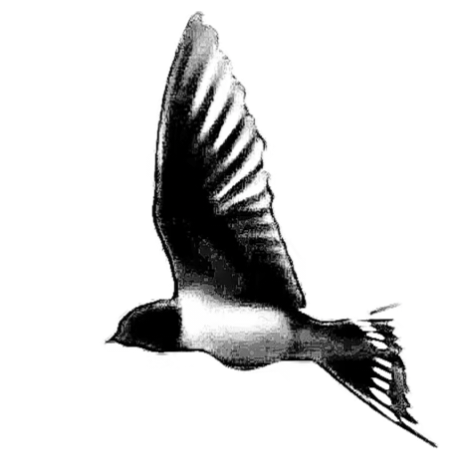 1782463537568.png