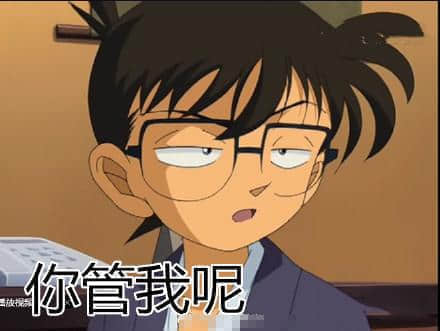 程序员 reaction:你管我呢