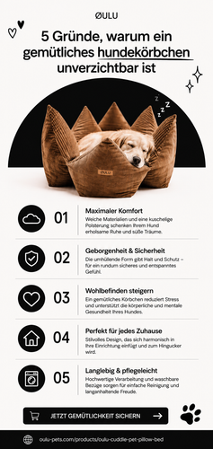 5 Gründe, warum ein gemütliches hundekörbchen unverzichtbar ist.png