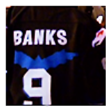 ilyarozanovsbackcheck