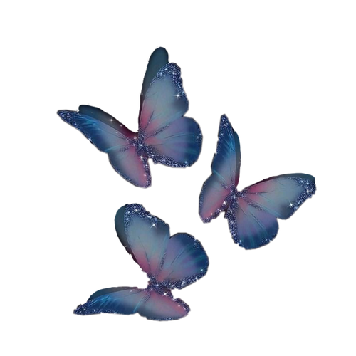 7E542A49 FA83 43BA AE90 7077FDDE9D74.png