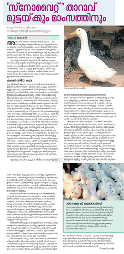 Snow white duck.png