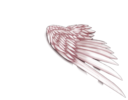 Albino wings top CD.png
