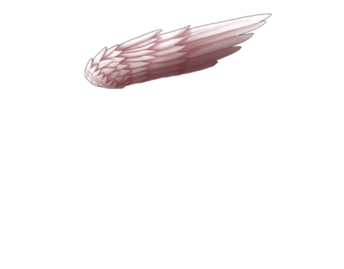 Albino wings below CD.png
