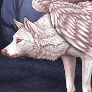 Albino wings top preview.png