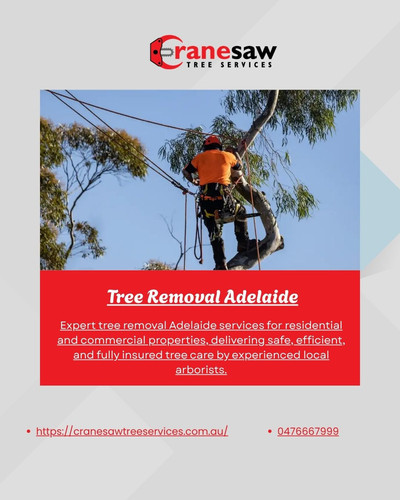 Tree Removal Adelaide.jpg