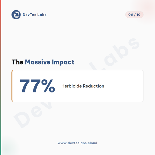 slide 6.png