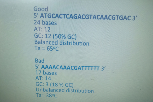 temp.png