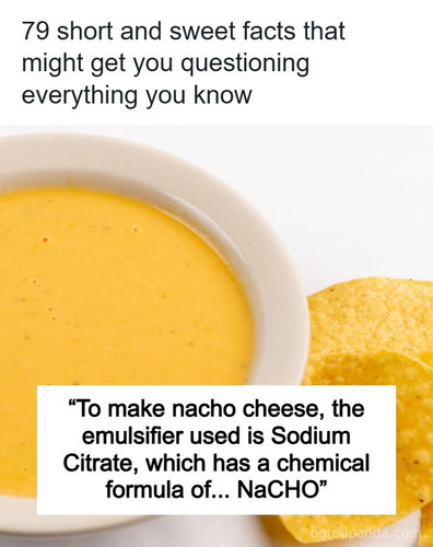 trivia facts.jpg