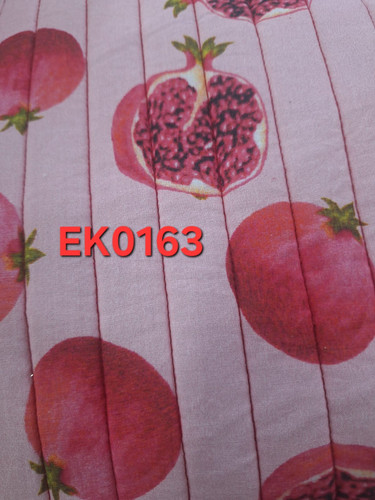 ek0163.jpg