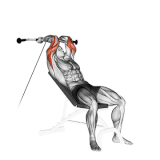 Cable Incline Triceps Extension.gif