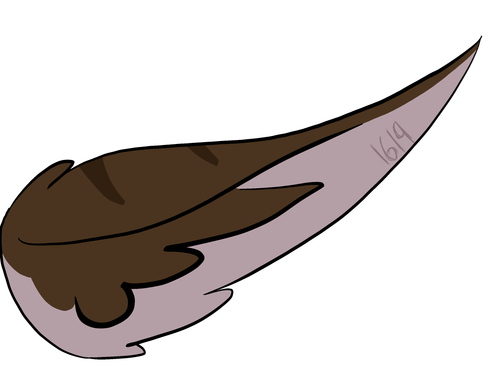IMG 0478.png